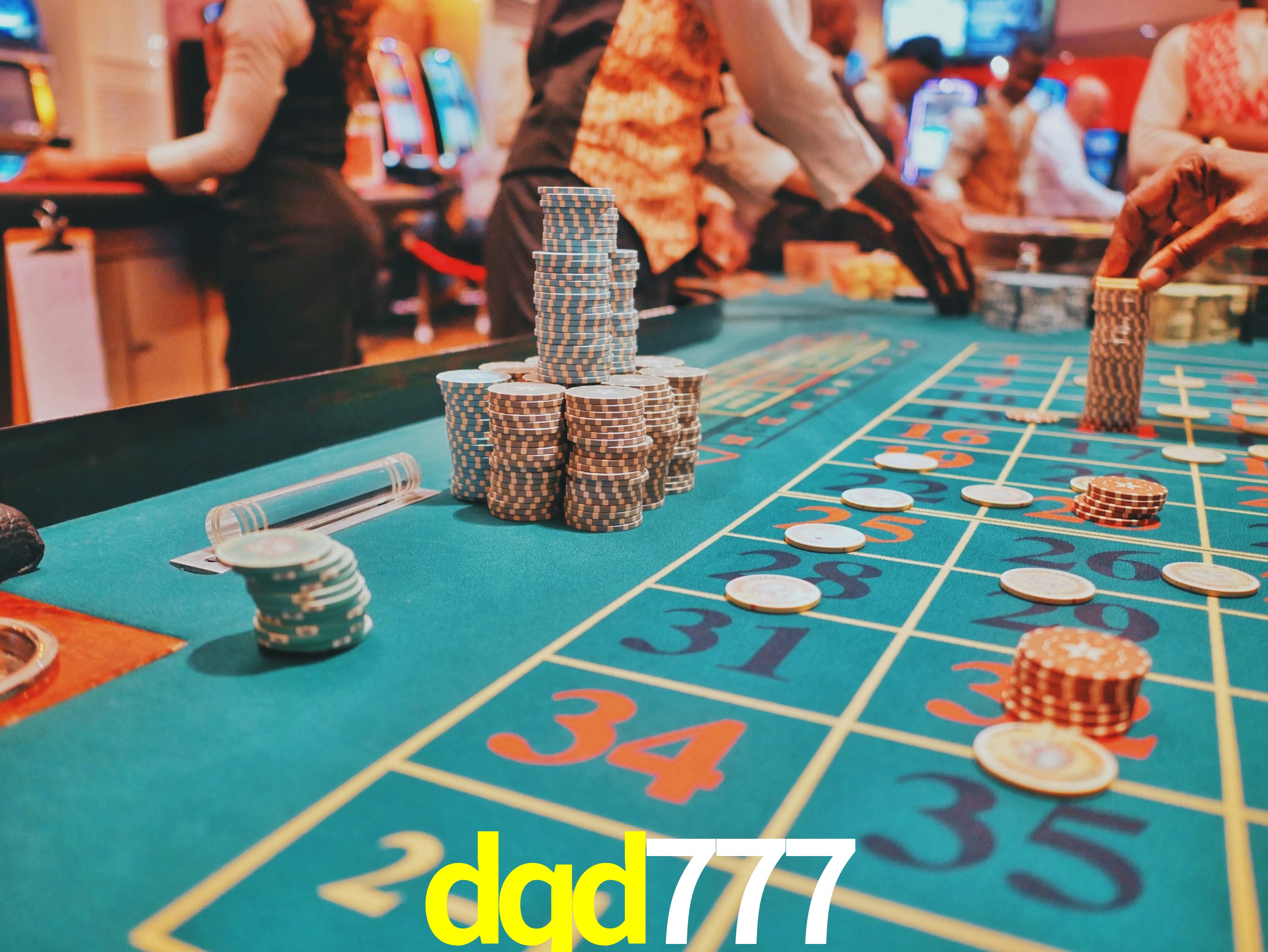 Interface Premium dqd777